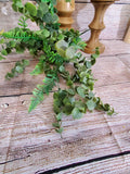 Plastic Fern and Eucalyptus Bush