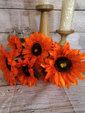 Large orange Sunflowers