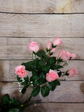 19" Silk Rose Bush