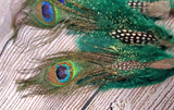 14" Peacock Feathers 6 pk