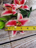 30" Rubrium Lily Stems Set of 3 Stems