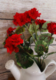 17" Red Geranium Bush x 8