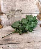 Silk Leatherleaf Fern Doz Stems- Silk Baker Fern