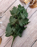 Silk Leatherleaf Fern Doz Stems- Silk Baker Fern