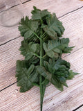 Silk Leatherleaf Fern Doz Stems- Silk Baker Fern