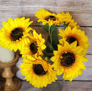 Large Yellow Sunflowr Bush