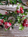 30" Berry and Leaves Flocked Stem