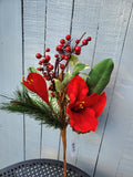 Christmas Amaranthus Stem