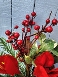 Christmas Amaranthus Stem