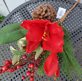 Christmas Amaranthus Stem