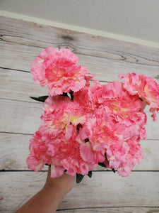 Color Fast Pink Carnation Bush x14