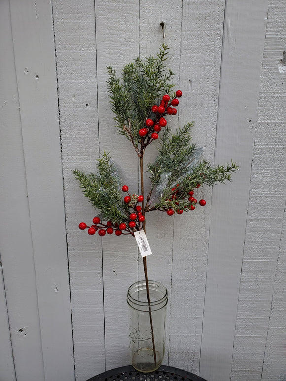 Mixed Pine and Berry Stem