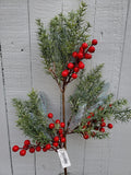 Mixed Pine and Berry Stem