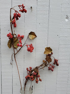 Close Out Berries 6 stems