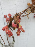 Close Out Berries 6 stems