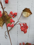 Close Out Berries 6 stems