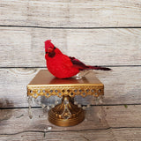 8.75" Styrofoam Cardinal