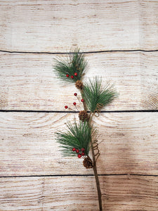 Pine and Berry and Pine Cone Stem doz