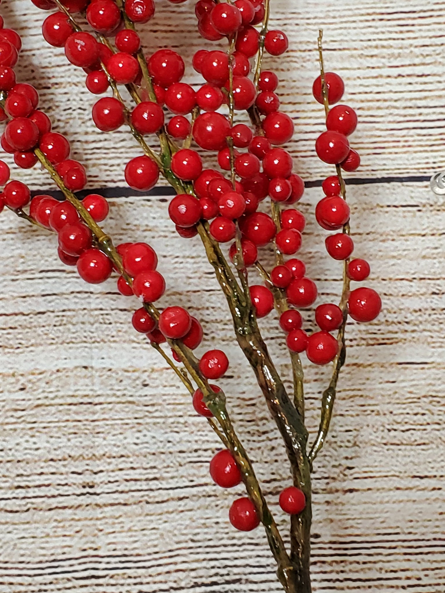 34 Red Berry Stems