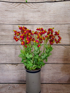 18" Red Mini Daisy Bush x 112