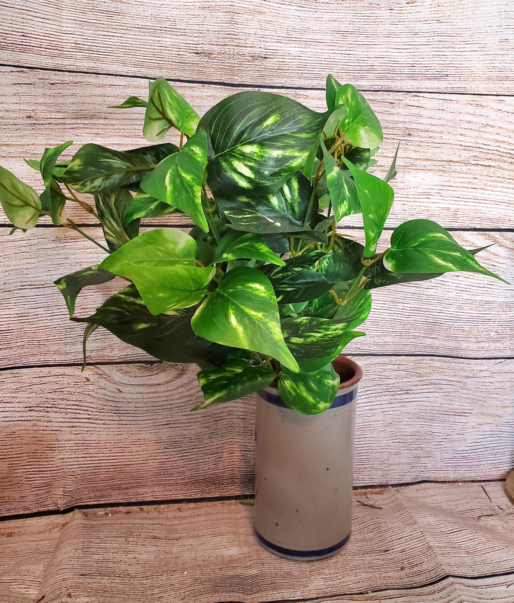 silk pothos plant Silk Pothos Plant – Florist Wreath Supply