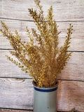 Champagne Gold or Champagne Glitter Filler Bush