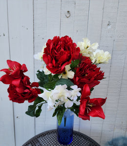 Mixed Red and White Peony Hyrandgea Bush