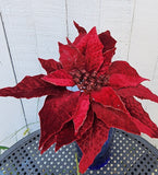 Red or Burgundy Glitter Poinsettia Pick