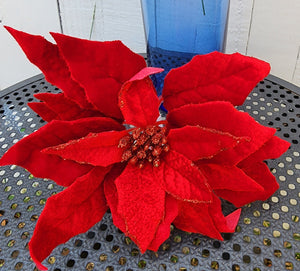 Red or Burgundy Glitter Poinsettia Pick