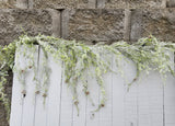 6' Frosted Cedar Garland