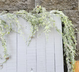 6' Frosted Cedar Garland