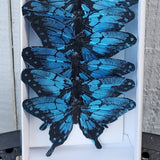 3" Dark Blue And Black Butterfly