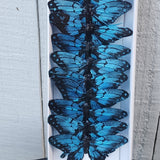 3" Dark Blue And Black Butterfly