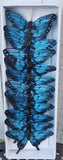 3" Dark Blue And Black Butterfly