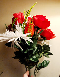 20" Red and White Mum Rose Bush