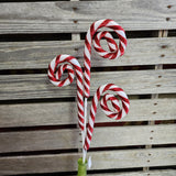 Peppermint Curls Stem