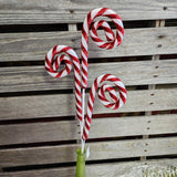 Peppermint Curls Stem