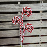 Peppermint Curls Stem