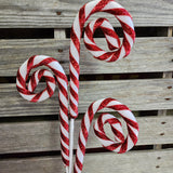 Peppermint Curls Stem