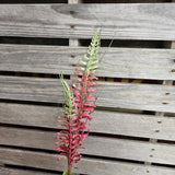 Glitter Fern Stems