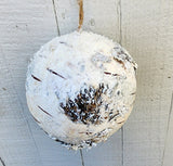 4.5" Snow Birch Ornament