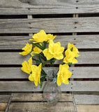 Yellow Daffodil Bush