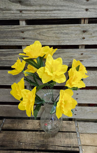 Yellow Daffodil Bush