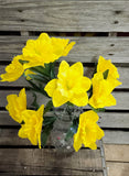 Yellow Daffodil Bush