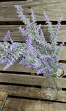 Lavender Bush