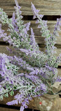 Lavender Bush