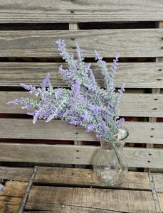 Lavender Bush