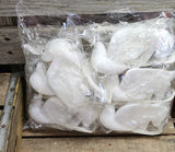 12 pcs - Large Artificial White Dove