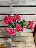 Silk Geranium Bush