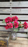 Silk Geranium Bush